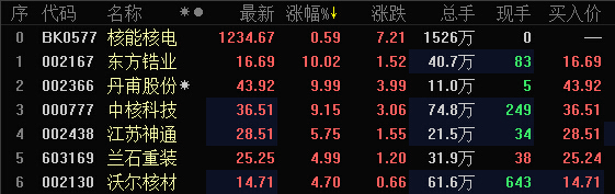 核电